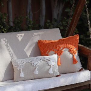 Decorative Fringe Cushion